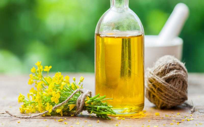 canola oil manufacturers in Ukraine