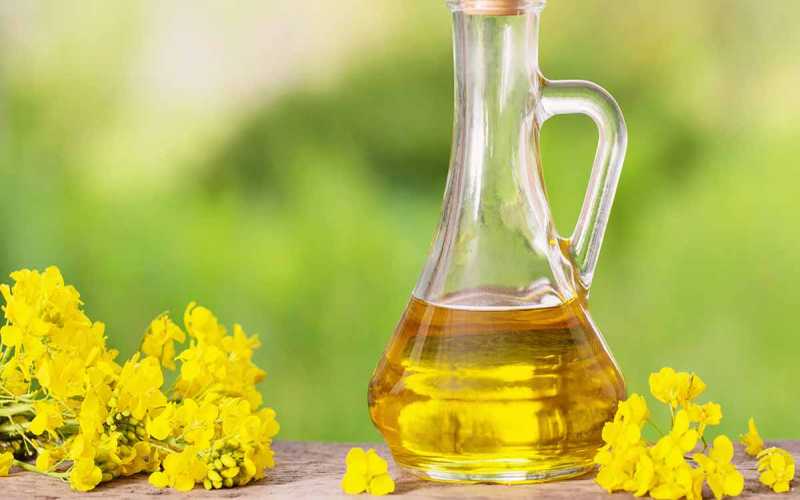 bulk rapeseed oil